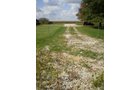 Property photo 9 - 75+/- Acres in 9 Tracts